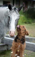 Wet Kiss for my Girlfriend