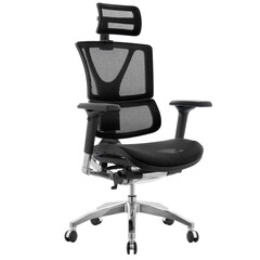 premium office chair with lumbar support isolated on white background