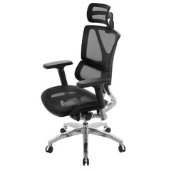 premium office chair with lumbar support isolated on white background