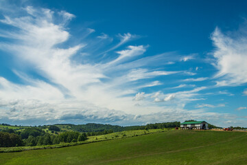 夏の士別市 雲と羊の丘の風景