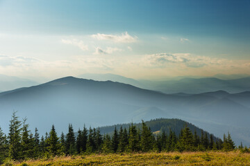 Naklejka na ściany i meble Beautiful summer landscapes of the Ukrainian Carpathian mountains