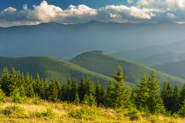 Beautiful summer landscapes of the Ukrainian Carpathian mountains