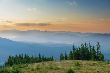 Naklejka na ściany i meble Beautiful summer landscapes of the Ukrainian Carpathian mountains