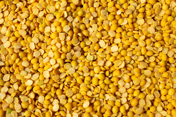 Pigeon pea (also known as tur dal) is a common staple food in south asia.