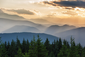 Fototapeta na wymiar Beautiful summer landscapes of the Ukrainian Carpathian mountains
