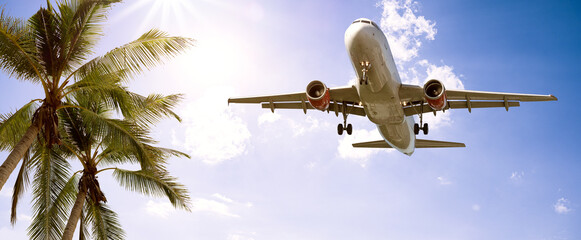 Flugzeug - Urlaub - Palmen