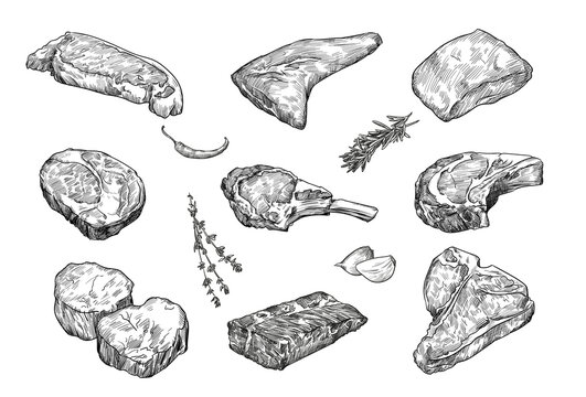 Beefsteaks hand drawn vector illustration set. Engraved sketches of meat steak, ribeye, striploin for restaurant menu, recipe or grill concepts