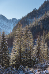 Beautiful winter views of the High Tatra Mountains with tourists, skiers and amazing states of nature