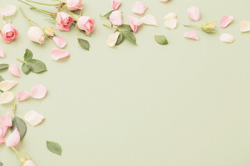 Fototapeta na wymiar pink and white flowers on green paper background