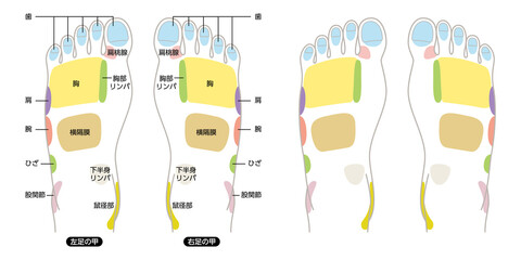 足つぼ名称図解