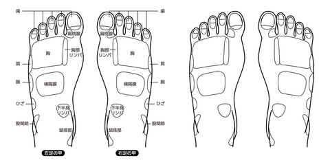 足つぼ名称図解