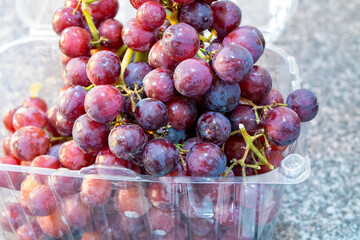 画面アップの買ってきたばかりのプラスチックのケースに入ったブドウ