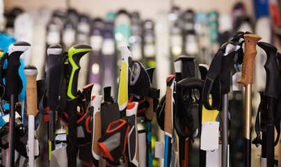 Various new colorful stylish ski poles for sale in modern sports equipment store