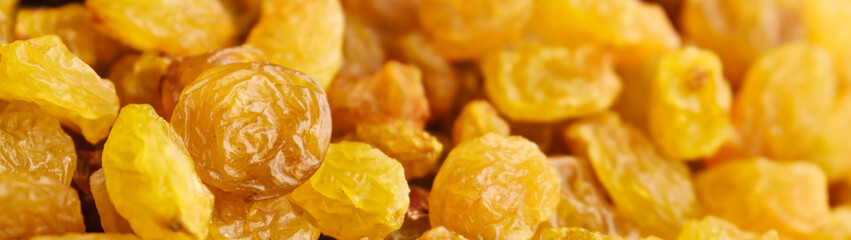 Close up raisins dried grapes banner panoramic: organic food concept