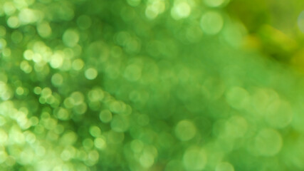Obraz premium green bokeh background