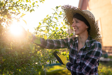 Side view of joyful young caucasian woman gardener cuts unnecessary branches and leaves from a tree...