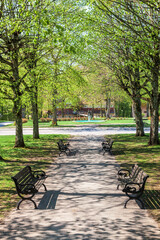 Park benches at path in a public park at spring