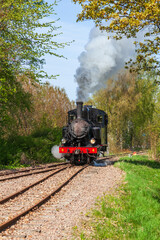 Old steam locomotive on a railway in a forest