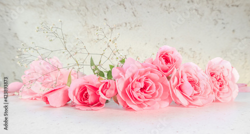 Pink roses and petals on white background. Perfect for background greeting cards and invitations of the wedding, birthday, Valentine's Day, Mother's Day.