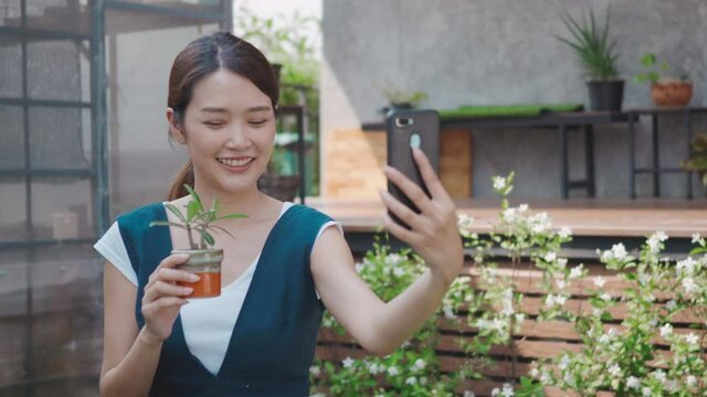 Happy Asian beautiful young woman taking selfie photo of small tree on pot by smartphone for sale in garden near greenhouse, female gardener video call live stream on digital mobile phone, house plant