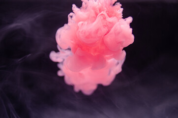Multi-colored paints in water. Ink swirls underwater. A cloud of collision of bright ink on a black background. Colorful abstract explosion of smoke. Abstract background
