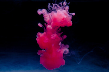 Multi-colored paints in water. Ink swirls underwater. A cloud of collision of bright ink on a black background. Colorful abstract explosion of smoke. Abstract background