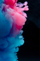 Multi-colored paints in water. Ink swirls underwater. A cloud of collision of bright ink on a black background. Colorful abstract explosion of smoke. Abstract background