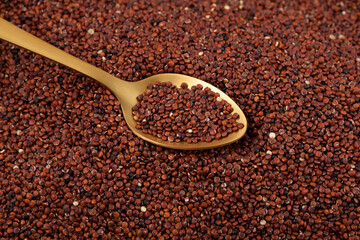Organic Red Quinoa, dry groats in golden spoon, close-up