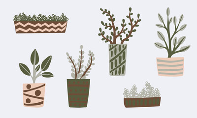 Hand drawn houseplants. Vector illustration of potted plants