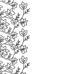 Calumba border frame herb ww dd black