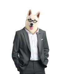 Stylish businessman with head of dog on white background
