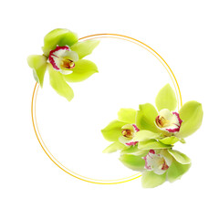 Composition with beautiful orchid flowers on white background