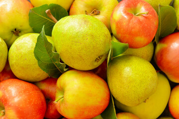 Heap of tasty apple and pear fruits as background