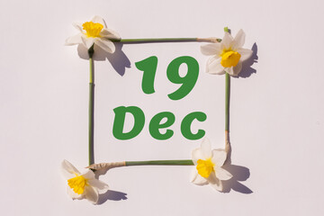 December 19th. Day of 19 month, calendar date. Frame from flowers of a narcissus on a light background, pattern. View from above. Summer month, day of the year concept