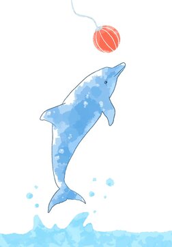 442 Best イルカショー Images Stock Photos Vectors Adobe Stock