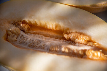 Yellow juicy melon in a close-up section. The concept of healthy fruits and diets.