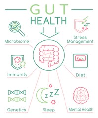 Gut health vertical poster. Editable vector illustration