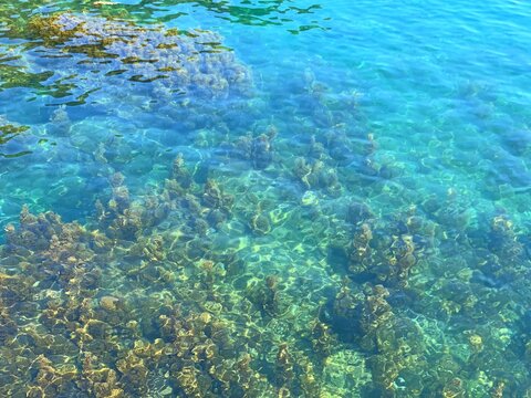 Blue sea turquoise clear water background. Deep ocean freshness. Shiny glittering water surface. Green emerald azure watercolor. Summer relax, meditation, paradise.