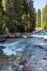 View of the river or torrent in the Natural Park of Paneveggio Pale di San Martino in Tonadico, Trentino, Italy