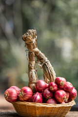 Fresh red onion on rustic wooden table - 423914098