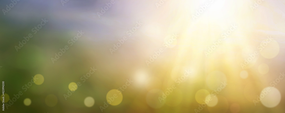 Wall mural blurred nature abstract bokeh background
