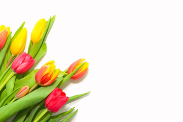 Colorful tulips peeking from the corner on white background. Elegant flower composition. Fresh spring concept. Side border from top view. Empty space for text. Copy space.