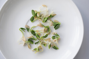 Sprouted cucumber seeds for planting in the ground lie on a white plate. The concept of eco-products and gardening.