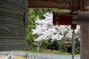 桜をバックにした銅鐘と突き棒／長栄寺（埼玉県毛呂山町）