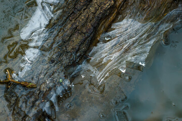 Ice on a drainage ditch in East Grinstead