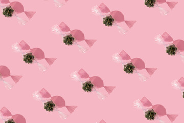 A green cactus wrapped in transparent candy paper laid in a regular pattern on a modern pastel pink surface. Flat layout. Creative concept.