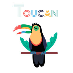 Toucan bird on white background. Flat toucan vector isolated. Wild animal vector illustration.
