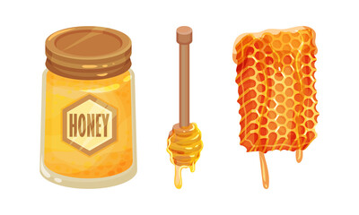 Glass Jar with Sugary Honey Fluid and Honeycomb Vector Set
