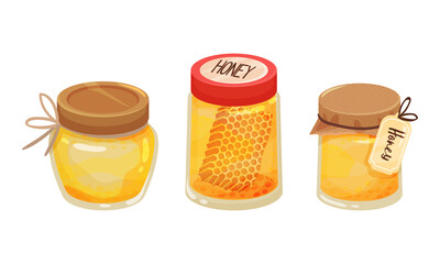 Glass Jar with Sugary Honey Fluid and Honeycomb Vector Set
