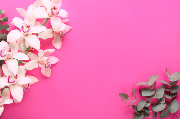 Beautiful white orchid flower and eucalyptus on pink background. Flat lay, copy space.